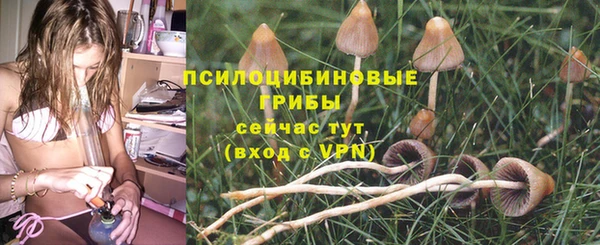 винт Арсеньев