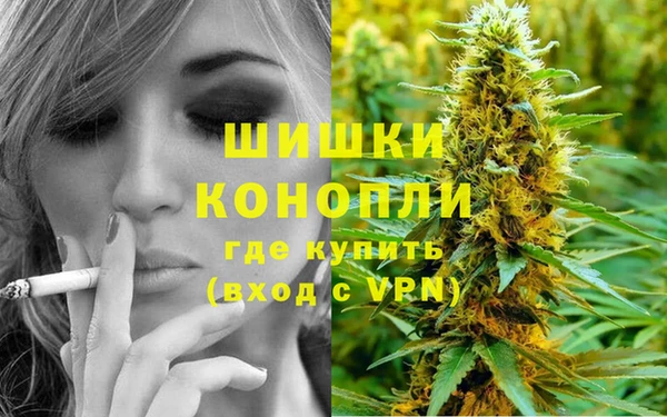 трава Аркадак