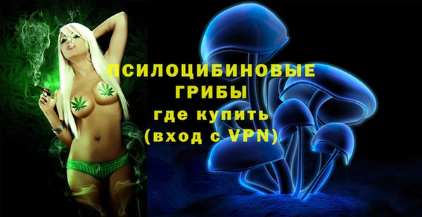 трава Аркадак