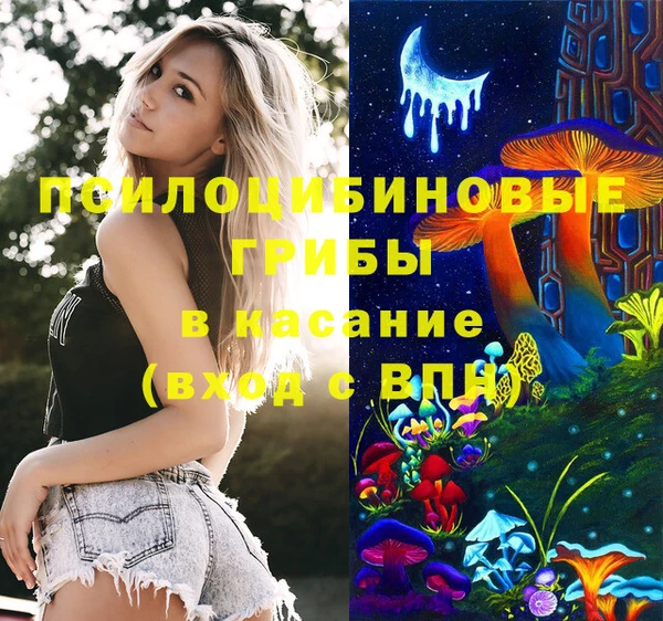 трава Аркадак